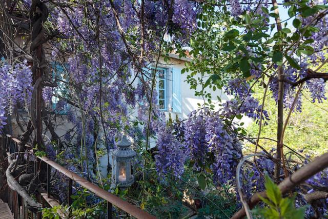 La Vieille Maison - Halte Gourmande Durfort-et-Saint-Martin-de-Sossenac Kültér fotó