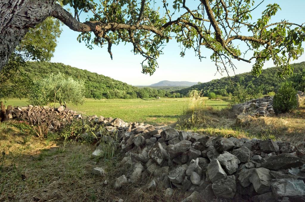 La Vieille Maison - Halte Gourmande Durfort-et-Saint-Martin-de-Sossenac Kültér fotó